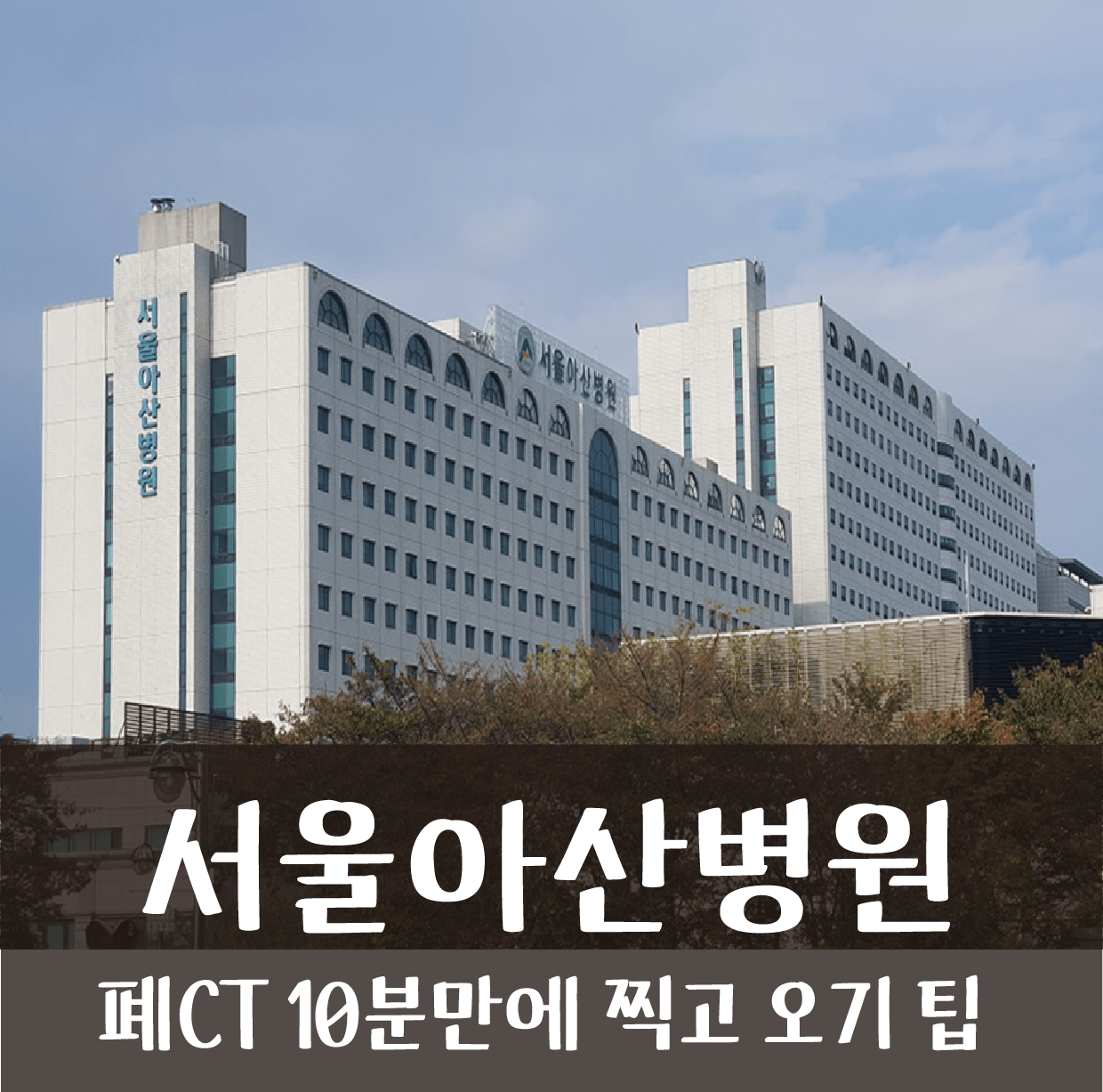 서울 아산병원 주차 팁 폐 CT