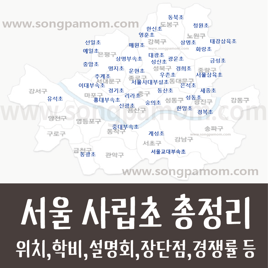[서울 사립초 총정리!!]